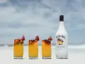 Letnie drinki z malibu na plaży, ozdobione truskawkami i borówkami. Idealne na upalne dni.