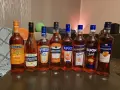 Pimm’s No. 1 kontra Aperol Spritz: rząd butelek włoskich aperitifów, głównie pomarańczowych, gotowych na imprezę.