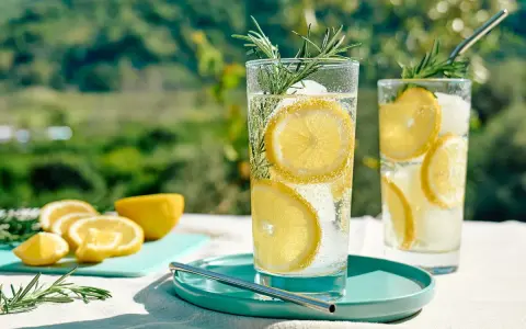 Orzeźwiający drink bezalkoholowy mocktail z cytryną i rozmarynem, obok klasycznego koktajlu. Idealny na upalne dni.