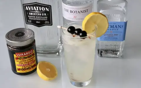 Tom Collins i John Collins – składniki do drinków: gin Aviation, The Botanist, Plymouth, wiśnie Luxardo i cytryna.