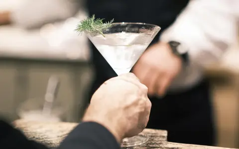 Przepis na drink London Calling: czysty martini z gałązką kopru.