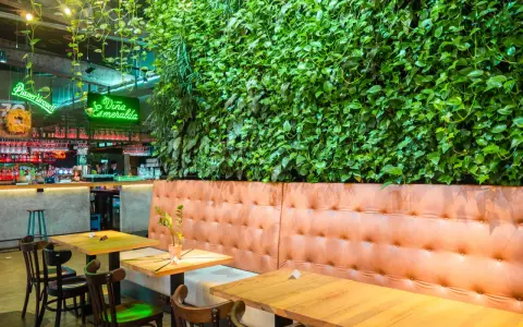 Wnętrze restauracji z zieloną ścianą i wygodnymi lożami. Idealne miejsce na odkrycie najlepszych restauracji w Krakowie - Ranking top 6.