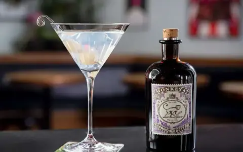 Klasyczny gin martini przepis z Monkey 47. Elegancki kieliszek z drinkiem i butelka ginu na blacie.