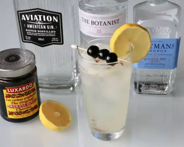 Tom Collins i John Collins – składniki do drinków: gin Aviation, The Botanist, Plymouth, wiśnie Luxardo i cytryna.