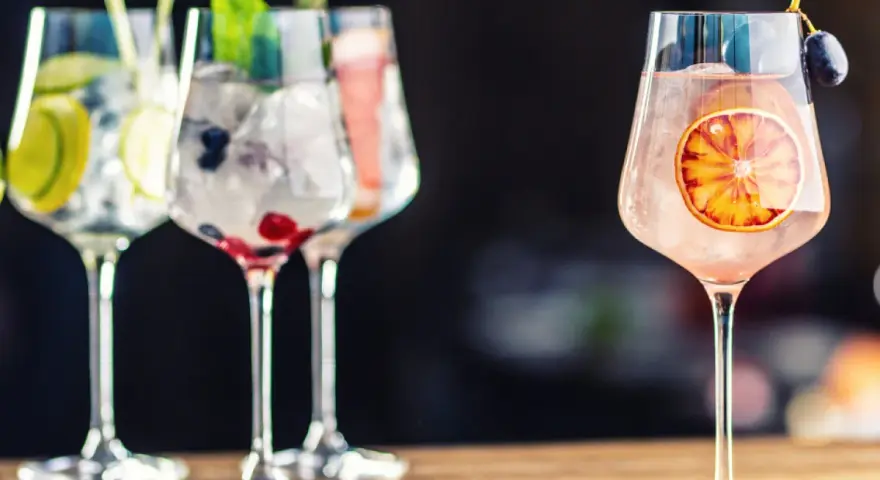 Orzeźwiające drinki na bazie ginu z owocami i lodem. Na pierwszym planie różowy gin z plasterkiem pomarańczy i winogronem.
